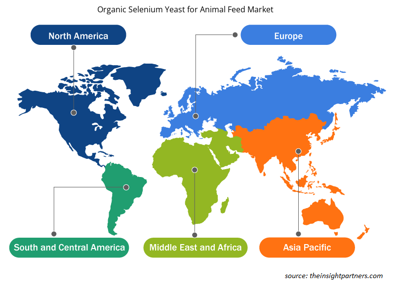 lievito-di-selenio-organico-per-mangimi-animali-mercato-geografia-globale