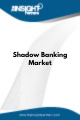 Shadow Banking  Market